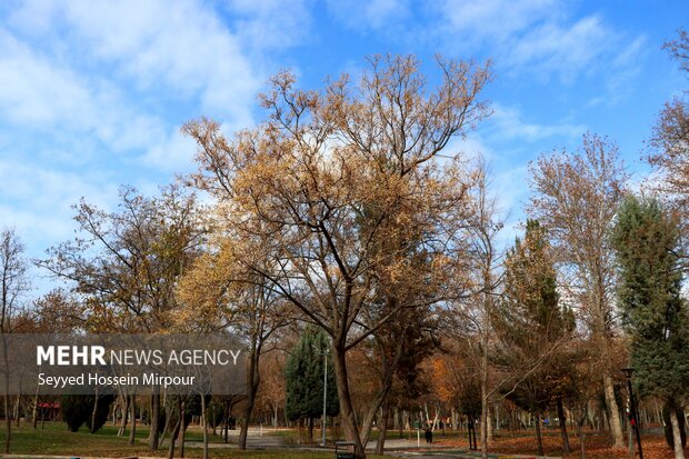 طبیعت زیبای پائیزی مشهد