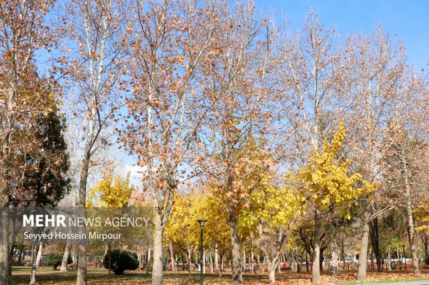 طبیعت زیبای پائیزی مشهد