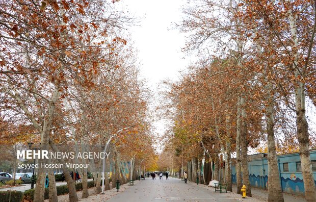 Meşhed kentinin sonbahar güzelliği