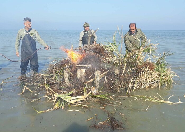 ۱۲ کمین‌گاه شکارچیان غیرمجاز در خلیج گرگان تخریب شد