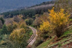 نماهنگ آذری «پاییز گلدی»