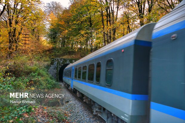 Autumn beauties at Shirgah train station
