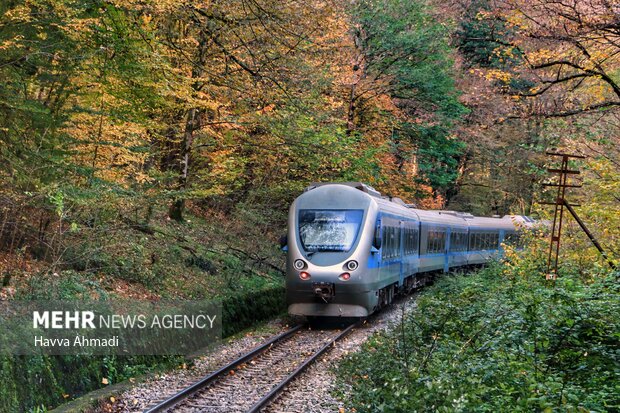 Autumn beauties at Shirgah train station
