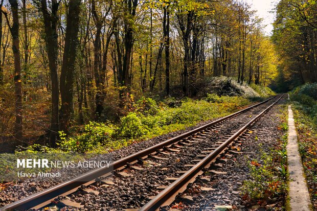 ریل گردی؛ پاییز راه آهن شمال در شیرگاه