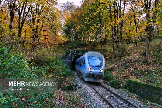 Autumn beauties at Shirgah train station
