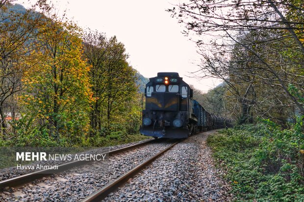 Autumn beauties at Shirgah train station
