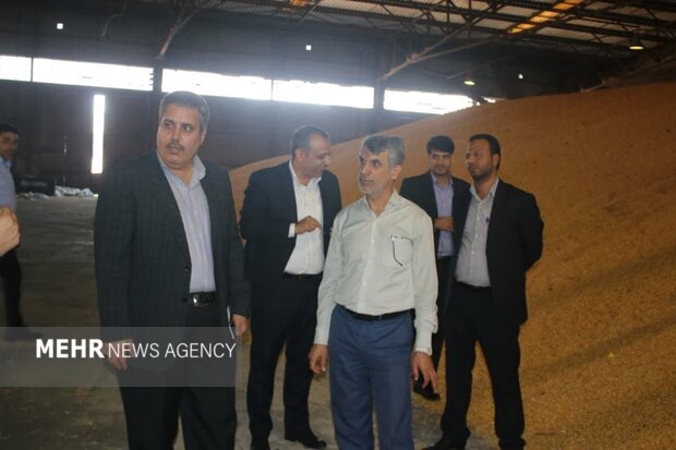 محل نگهداری گندم و ذرت در بندر شهید رجایی کاملا غیربهداشتی است محل نگهداری گندم و ذرت در بندر شهید رجایی کاملا غیربهداشتی است