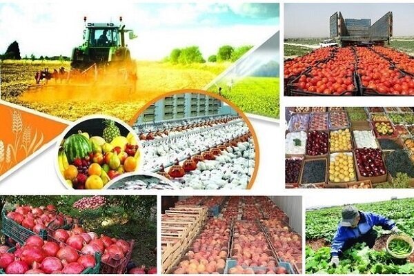 همکاری‌های ۲ جانبه اصفهان و روسیه در بخش کشاورزی افزایش می‌یابد 