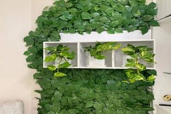 آشنایی با دیوار سبز و مواد مورد استفاده