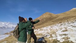 آغاز سرشماری پستانداران علف‌خوار شاخص استان اردبیل