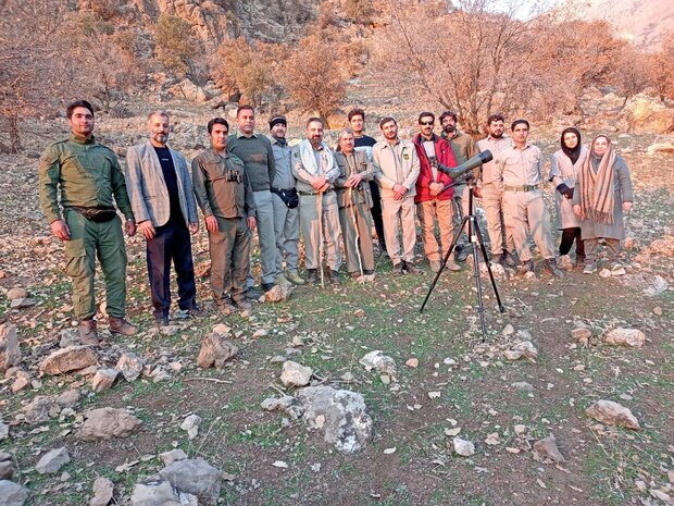 سرشماری حیات وحش در مناطق حفاظت‌ شده لرستان آغاز شد