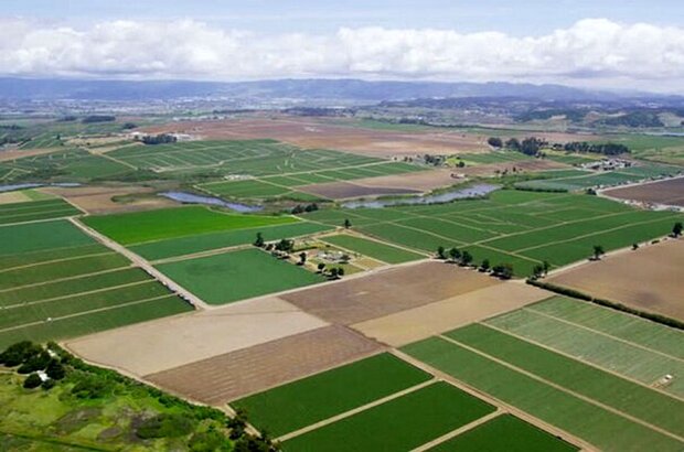 ۱۷ هزار هکتار اراضی کشاورزی سنددار شده‌اند