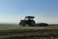 کشاورزی قراردادی در مازندران کلید خورد