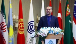 أمير عبداللهيان: التعاون الاقتصادي مع دول الجوار من أولويات الدبلوماسية الاقتصادية الايرانية