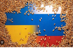 اسلواکی هم واردات غلات اوکراین را متوقف می‌کند
