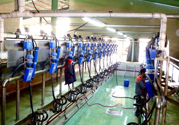 شرکت کشت و صنعت هلال در مسیر مدیریت زنجیره تأمین سبز قرار گرفت شرکت کشت و صنعت هلال در مسیر مدیریت زنجیره تأمین سبز قرار گرفت