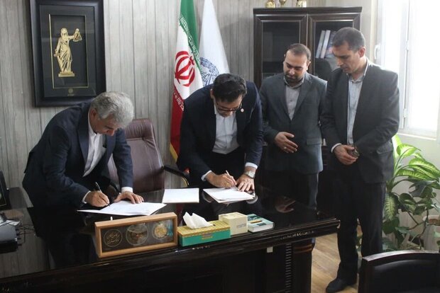 مددجویان بهزیستی استان بوشهر حمایت حقوقی میشوند