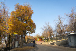 زیبایی‌های پاییزی شهرستان مراغه