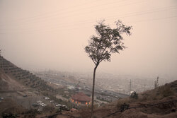 آلودگی هوای استان سمنان تا پایان هفته/ گروه‌های حساس مراقب باشند