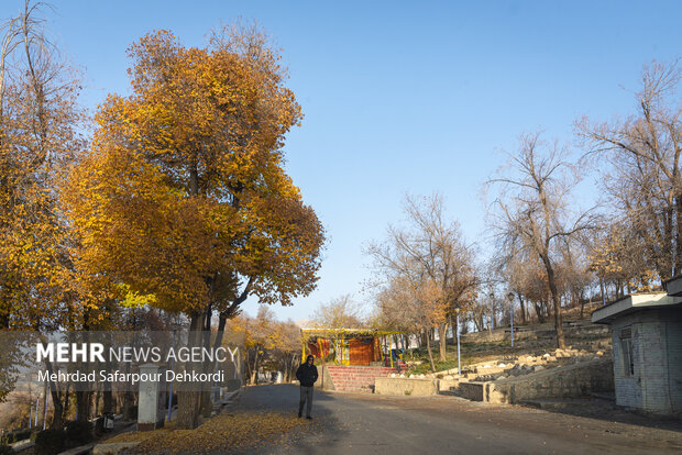 زیبایی‌های پاییزی شهرستان مراغه