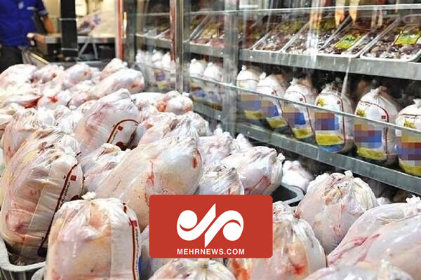 وضعیت امروز قیمت مرغ گرم در بازار میدان بهمن تهران