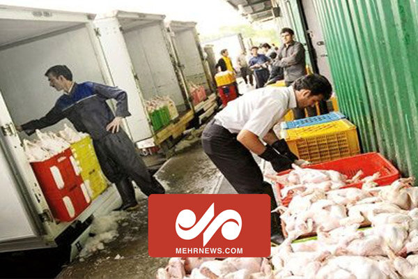 وضعیت امروز بازار مرغ میدان بهمن تهران 