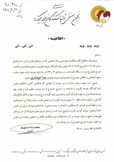 هشدار درباره معدوم سازی جوجه یک روزه