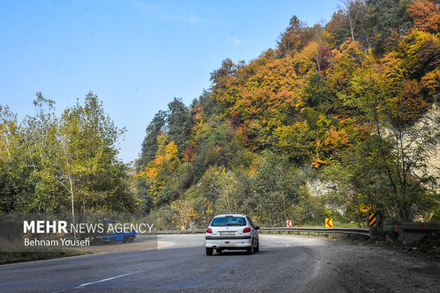 زیبایی جاده چالوس در اواخر پاییز