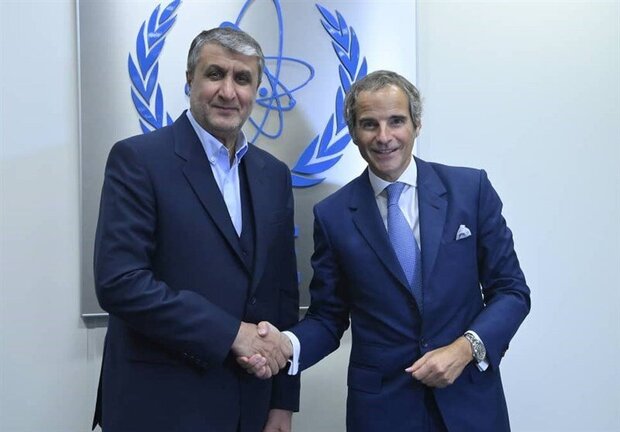 IAEA chief Grossi to visit Tehran next week: AEOI spox