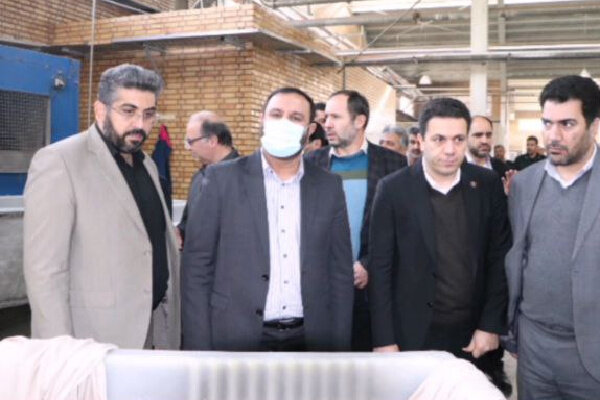 دادستان عمومی و انقلاب تهران از شهرک صنعتی قرچک بازدید کرد 