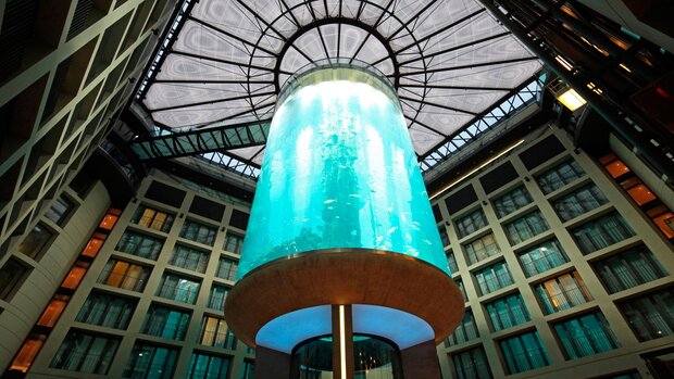 Giant aquarium in Germany bursts