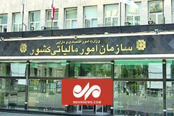 جزئیات اقدامات سازمان امور مالیاتی درخصوص خانه‌های خالی
