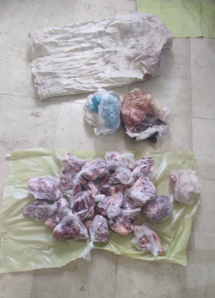 دستگیری شکارچی کل و بز کوهی در لرستان