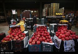 صادرات محصولات کشاورزی از مازندران رشد ۱۰ برابری داشته است