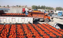 صادرات خراسان شمالی ۷۴۸ درصد رشد داشت