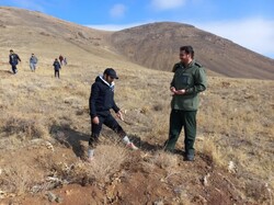 برگزاری پویش بذرکاری ۳۰ هکتاری در روستای «دمورچی» رزن