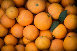 درخواست وزارت جهادکشاورزی درراستای رفع محدودیت صادرات سیب وپرتقال