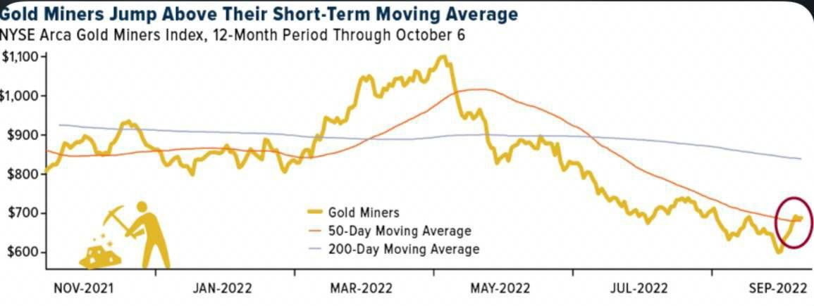 استخراج طلا در جهان بیشتر شد/ افزایش قیمت انس طلا 