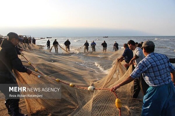 صید ماهی حلوا سفید در صیدگاه‌های خوزستان ممنوع شد