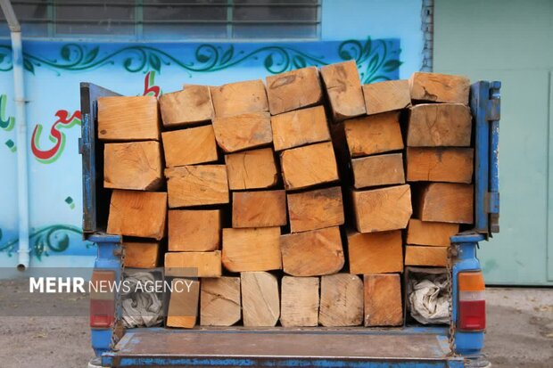 حال ناخوش جنگل هیرکانی اردبیل/ سریال تلخ جنگلخواری ادامه دارد