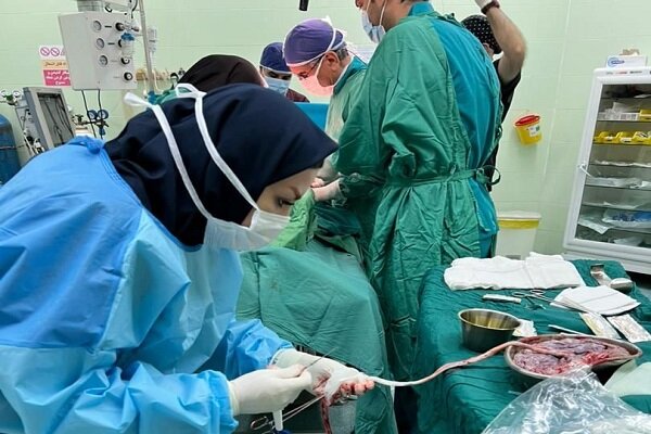 استفاده از سلولهای بنیادی در خارگ کلید خورد استفاده از سلولهای بنیادی در خارگ کلید خورد