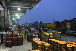 ۲ بازارچه دائمی عرضه میوه‌وتره‌بار در خرم‌آباد ایجاد می‌شود