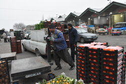 راه‌اندازی بازارهای موقت برای عرضه میوه در نوروز و ماه رمضان