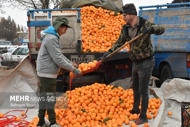معیشت در تنگنای گرانی؛ روایت بازار یزد از انفعال مسئولان تا انحصار