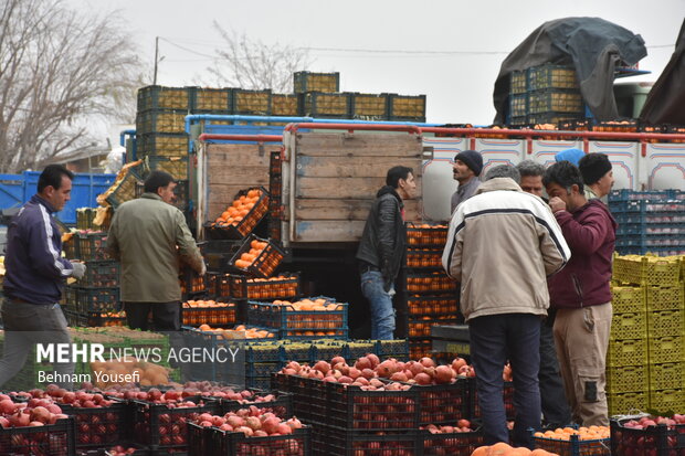 اختلاف ۴۱ درصدی قیمت میوه در میادین تره بار و مغازه ها