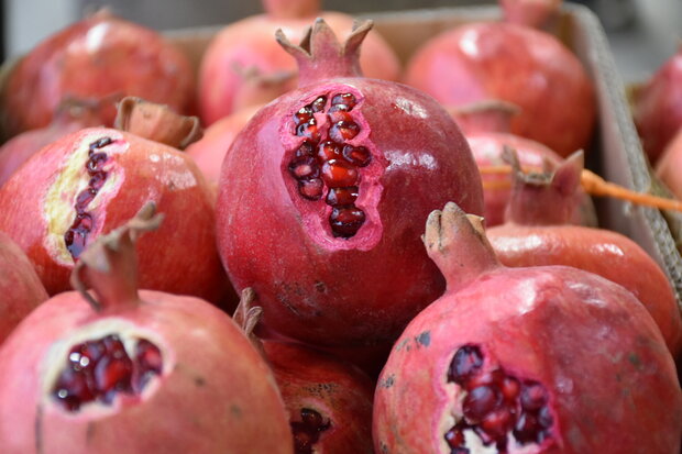 دلربایی لبوهای سرخ درکاسه چینی ننهباجی درشب چله/یلدا ماندگار است