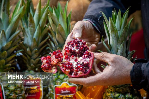 همه چیز در مورد شب یلدای قزوینیها