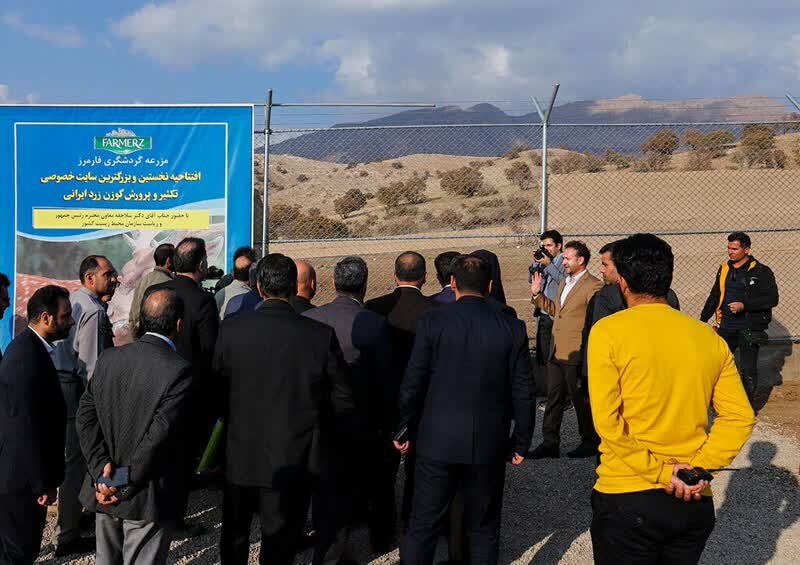 یکی از گوزنهای مرکز احیا و پرورش گوزن زرد ایرانی درلرستان تلف شد 2