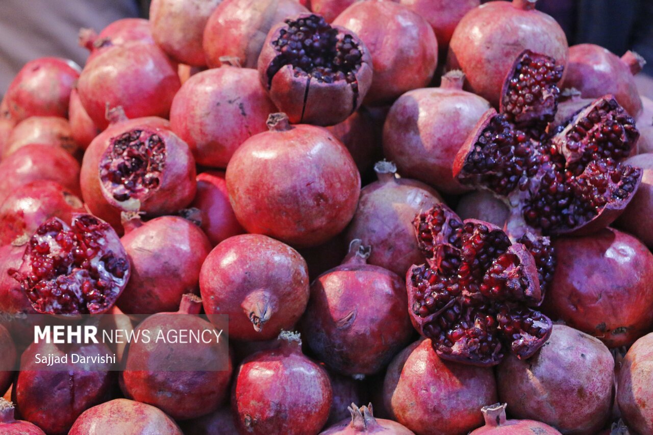 یلدا شبی پر نور به بلندای ادبیات کهن فارسی