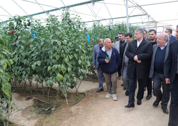 اختصاص 14میلیارد تومان برای توسعه سامانههای آبیاری گلپایگان 2